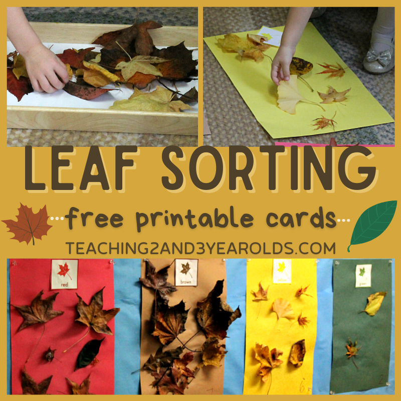 25-cool-leaf-activities-for-preschoolers-ohmyclassroom