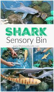 20 Shark Activities for Preschoolers