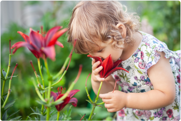 20 Exciting Smell Activities for Preschoolers