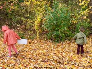 20 Playful Fall Themed Games for Preschoolers