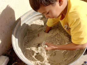 20 Fun Desert Activities for Preschoolers