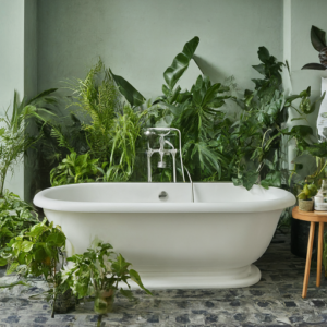 25 Bathroom Plant Ideas